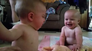 Twin Baby Boys Fight Ove