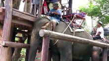 Artur and Galina on Elephant in Thail