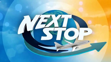 Olive Oil Picking and Tasting at The Purple Orchid Wine Country Reso