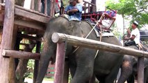 Artur and Galina on Elephant in Thail