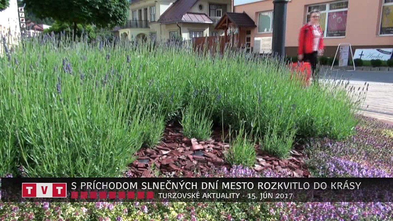 S PRÍCHODOM SLNEČNÝCH DNÍ MESTO ROZKVITLO DO KRÁSY