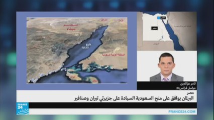 تامر عز الدين-حول دستورية قرار البرلمان