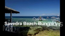 Savedra Beach Bungalows   Best Budget Resorts in Moalboal