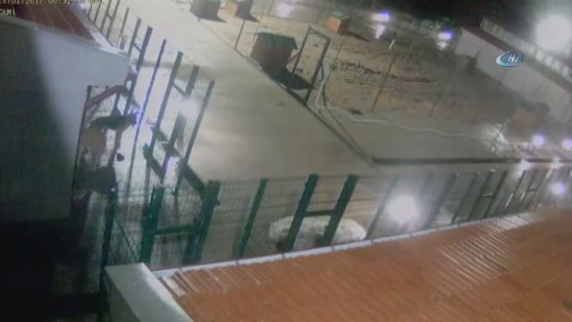 Şikayet Üzerine Elinden Alınan Dogo Arjantin Cinsi Köpeğini Barınaktan Böyle Geri Aldı