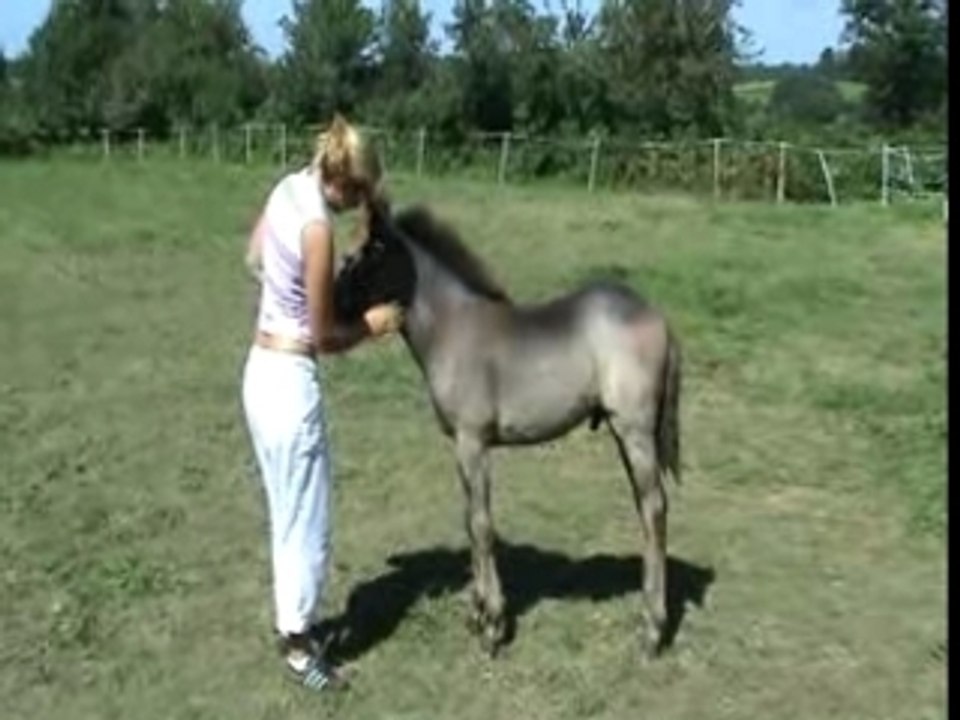 TELL ME DU BLIN  TELL ME DU BLIN