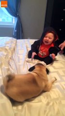 Kenaqesi dhe pjese e jetes - Qeni duke luajt me femijen