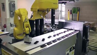 Bringing Collaborative Robots to the Classroom - FANUC's CERT Automation Training P
