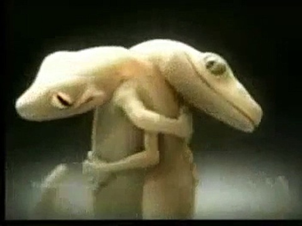 Best Funny video 2017