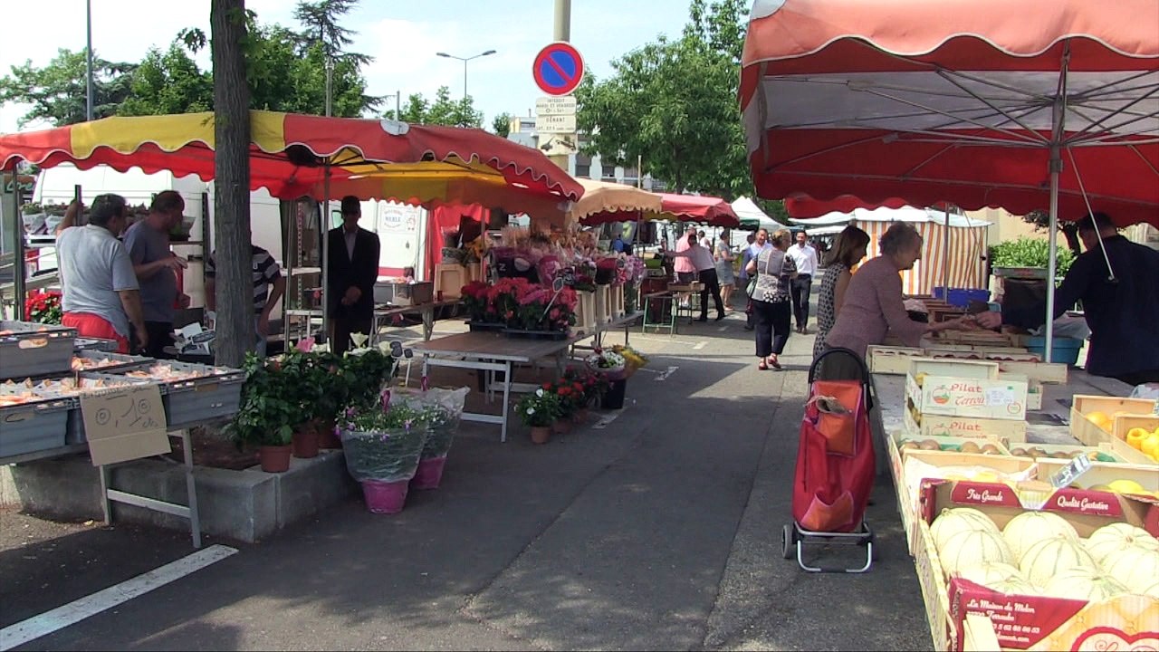 LEGISLATIVES - LEGISLATIVES