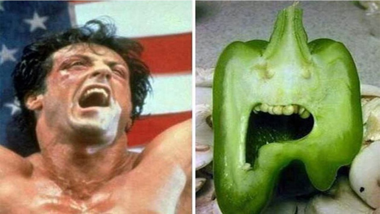 10+ The Example of Strange Food Around The World