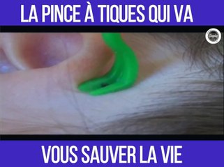 Le crochet qu'il vous faut pour retirer les tiques !