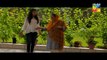 Sangsar Episode 54 HUM TV Drama - 15 June 2017