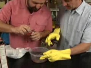 DadLabs Ep. 38 The Lab "WP - Bill Cosby"