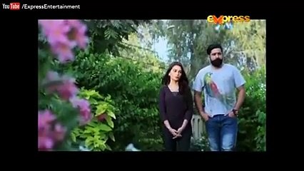 Naseeboon Jali Nargis Episode 35