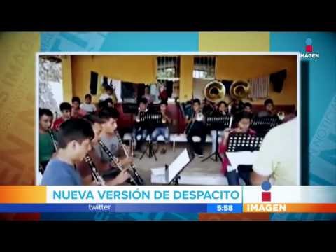 Despacito ahora en versión banda oaxaqueña | Imagen Noticias con Francisco Zea