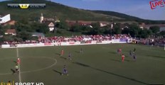 UTA Arad - ACS Poli Timisoara 1-3
