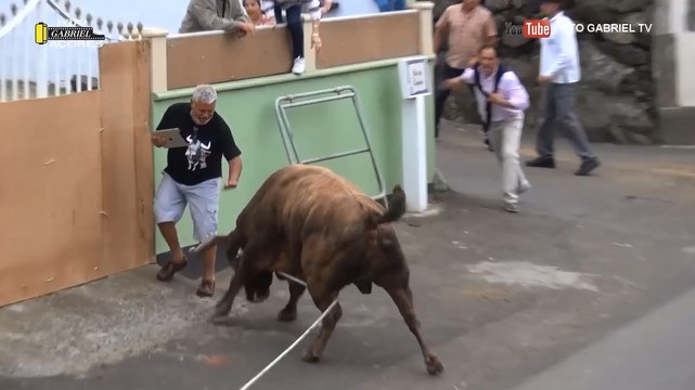 Il se fait attaquer par un taureau alors qu'il filmait avec son iPad.
