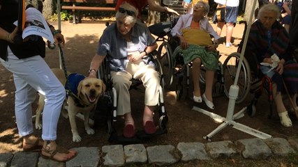 Légende, chien d'accompagnement en maison de retraite