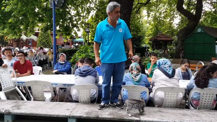 Kedinin köpekten kurtarıldığı an...