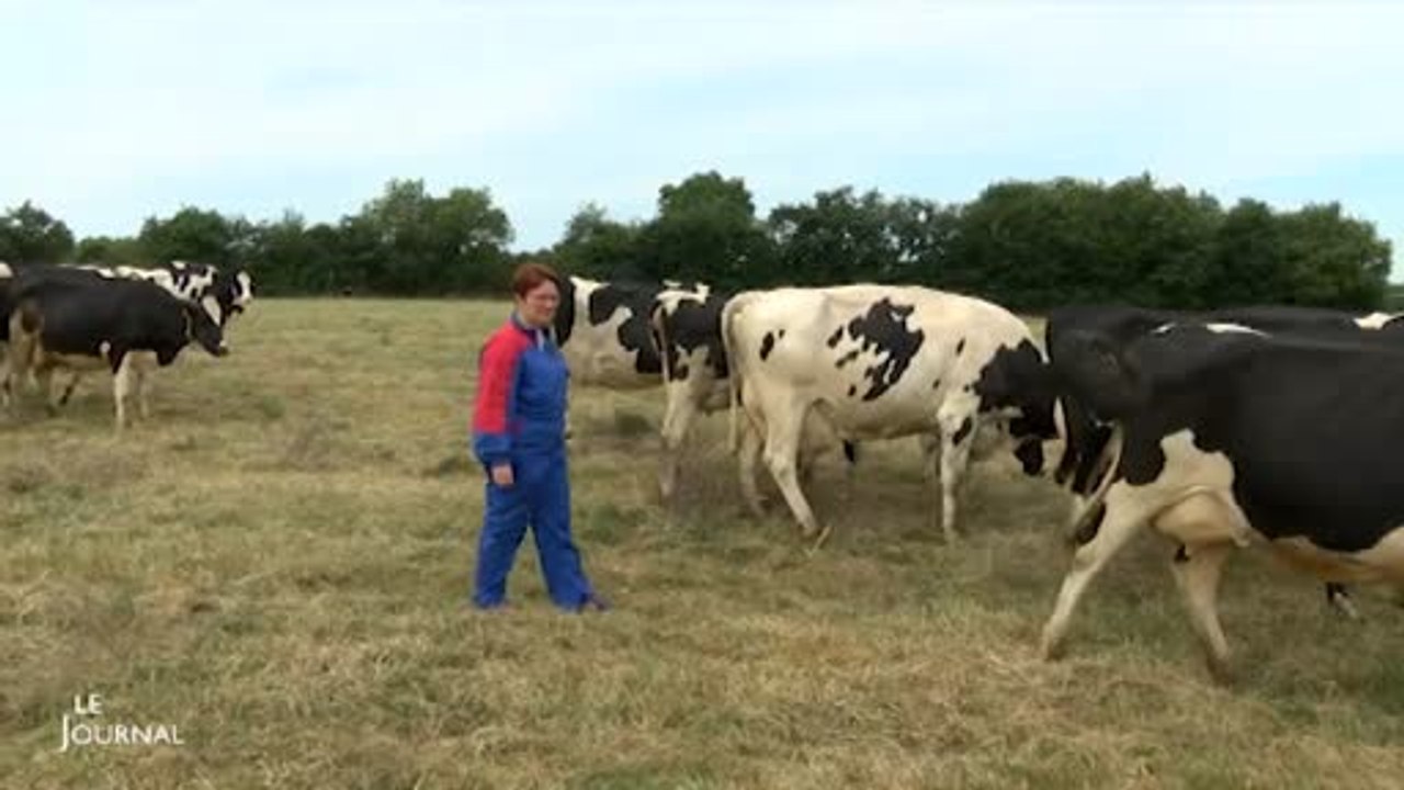 Lait : Des éleveurs font toujours face à la crise (Vendée)