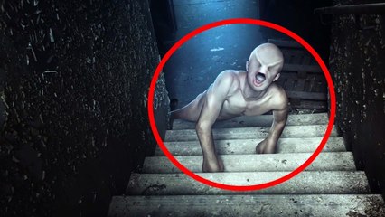 5 CRIATURAS MAIS HORRÍVEIS JÁ ENCONTRADAS NA TERRA
