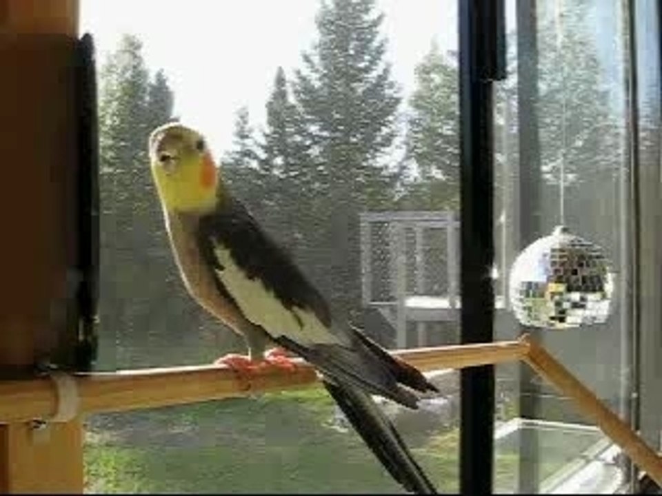 Test4