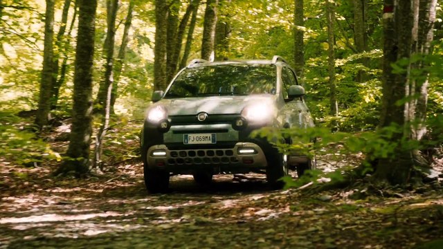 New Fiat Panda City Cross in White