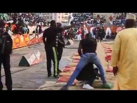 Senego TV: Yawou Dial de retour dans l'arène