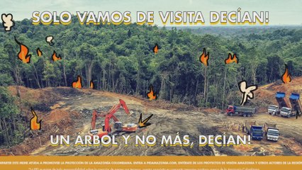 Colombia promueve la conservación de la Amazonía con memes
