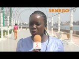 Senego TV: Mary Teuw Niane décore à titre posthume le Pr Amadou Ndoye