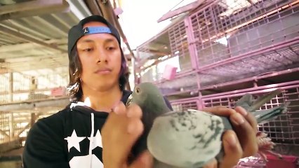 Alagang Magaling S6 EP13 - KALAPATINEUR