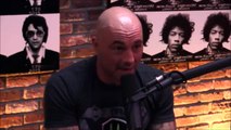 Joe Rogan and Gavin McInnes on Milo Yian