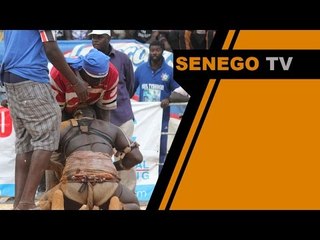 Senego TV Best OFF combats Boy Djiné-Clé Mansour...