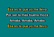 José Luis Rodríguez '' El Puma '' -  Amalia Rosa (Karaoke)