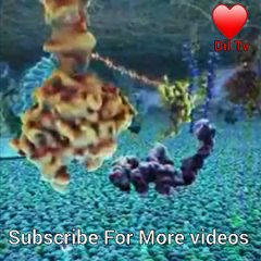how to working cells in our body those we can not see human eyes