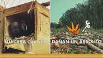 Colombia promueve la conservación de la Amazonía con divertidos memes