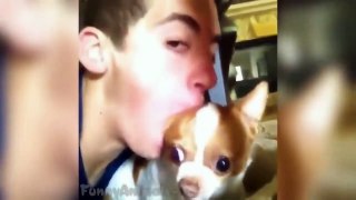 Funny Dog Vines ► Fun pi