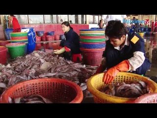 သန္႔ရွင္းေရးလုပ္ငန္းစဥ္မွ စြမ္းအင္ထုတ္ရန္ WWF ႏွင့္ MFPEA တို႔ နားလည္မႈစာခၽြန္လႊာလက္မွတ္ေရးထိုး