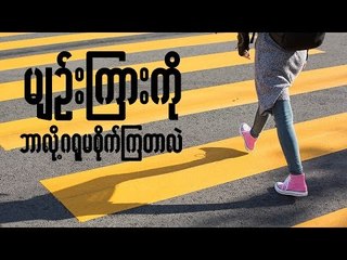 Why Do People Not Care About Zebra Crossing?