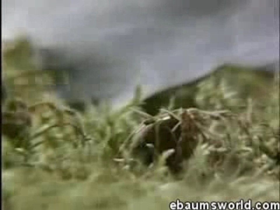 Spider-on-drugs