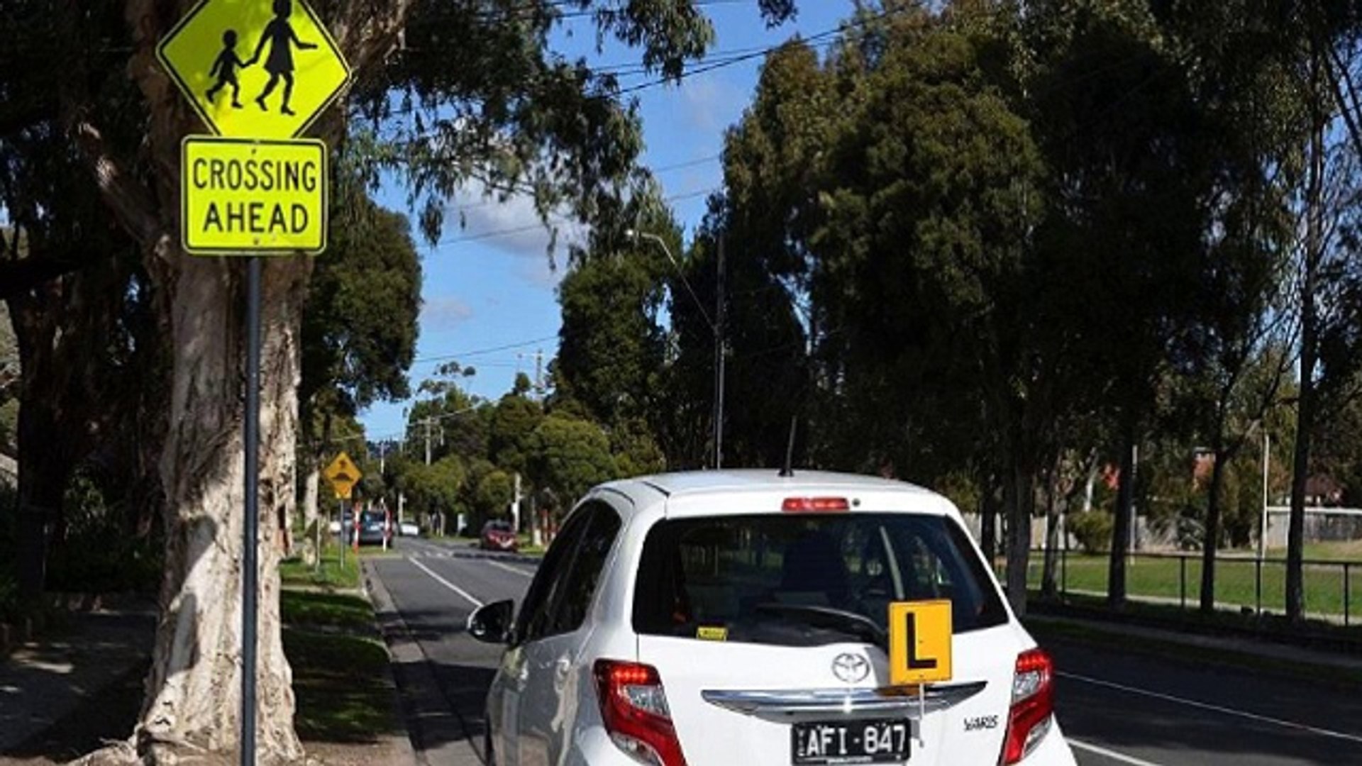 ⁣Driving Schools