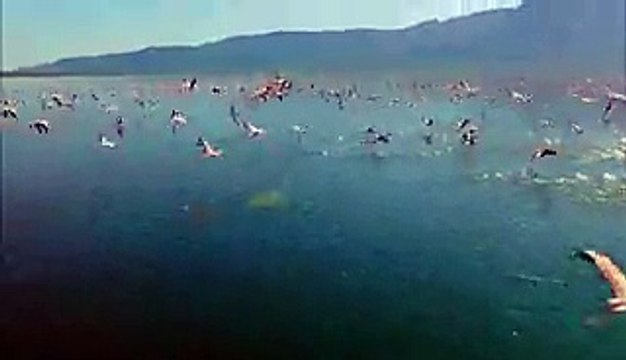 الصلاة على النبي محمد عليه الصلاة والسلام