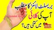 Palmistry Reading In Urdu Hindi || Bracelet Lines || Meaning Palmistry Line Anam Home Remedy