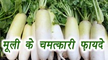 8 amazing health benefits of Radish | मूली के चमत्कारी लाभ | Boldsky