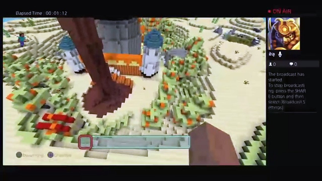 Minecraft new map (42)