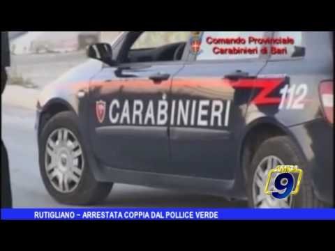 Rutigliano | Arrestata coppia dal pollice verde