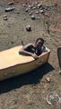 Shocking Video Of A Black Man Being Forced Into A Coffin By White man