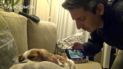 Comment stopper TOUT le monde de RONFLER !?