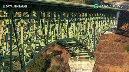 한 여성, 미국에서 4번째로 높은 다리 위에서 셀카 찍다 추락했음에도 생존