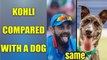 ICC Champions Trophy : Virat Kohli compared to dog by Bangladeshi fans | Oneindia News